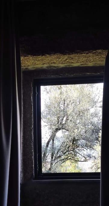 Casa Nova Das Oliveiras 布拉加 外观 照片