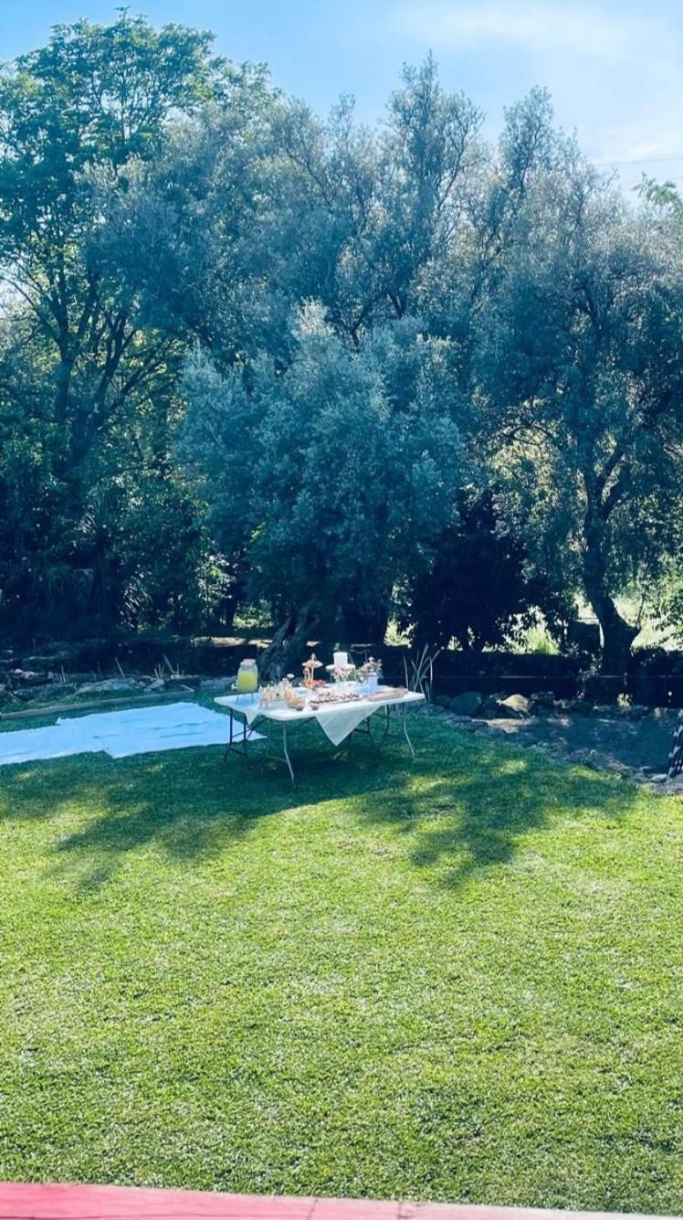 Casa Nova Das Oliveiras 布拉加 外观 照片